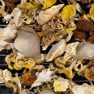 dried mushrooms Dried Gourmet Mushroom Mix (25 grams)