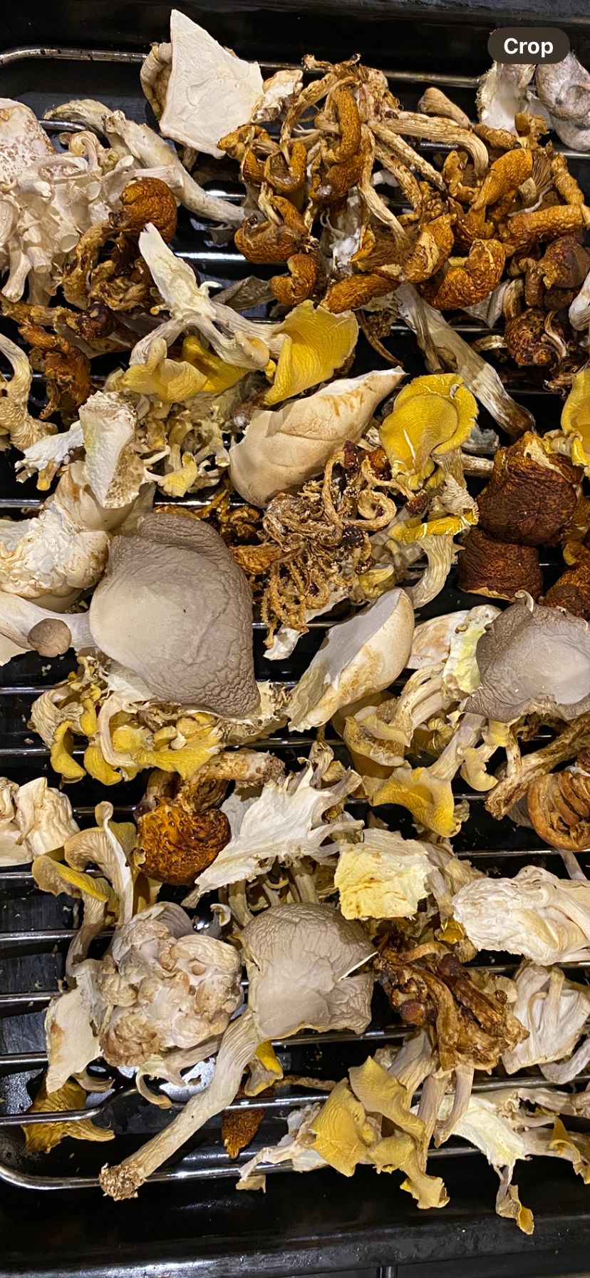 Dried Gourmet Mushroom Mix (25 grams)